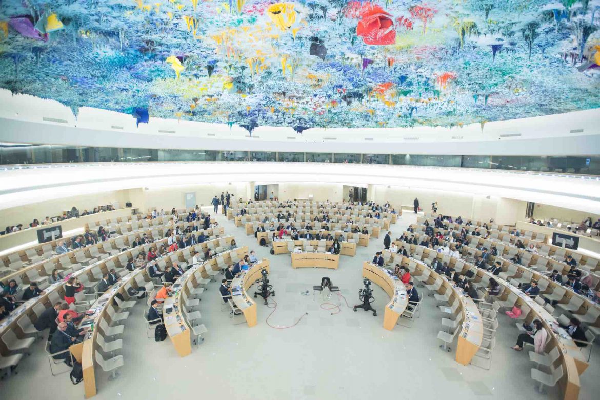 جهود الأمم المتحدة في مجال حماية حقوق الإنسان: دراسة في التجارب والخبرات