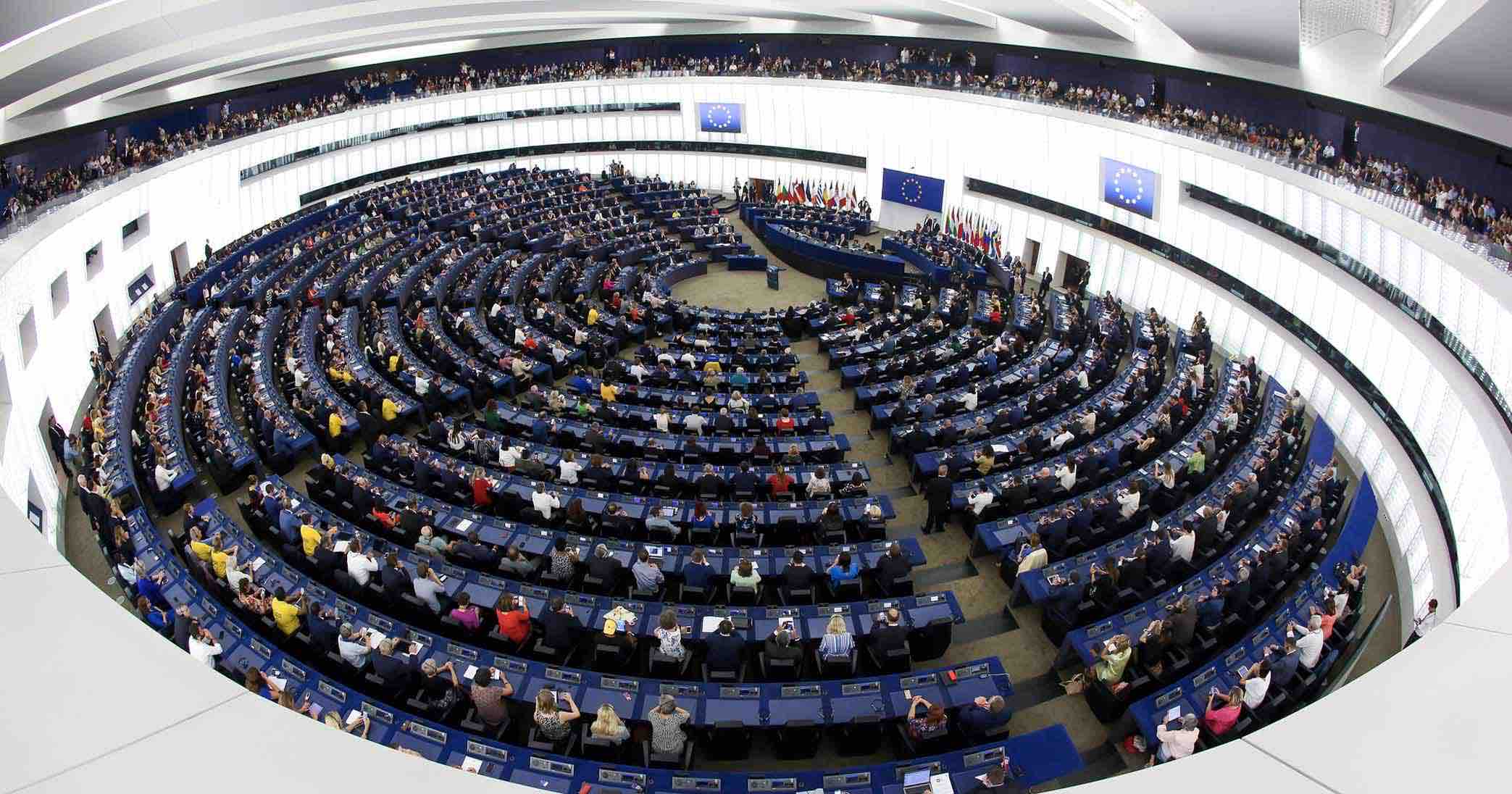 egypt-european-parliament-calls-on-member-states-and-other-eu