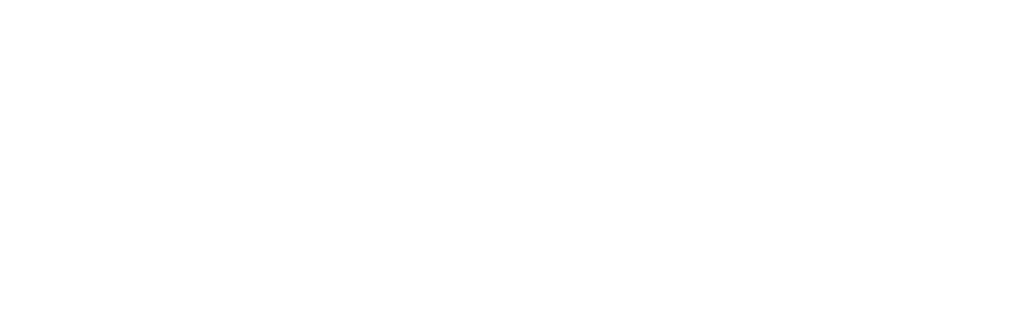 Cairo Institute for Human Rights Studies (CIHRS)