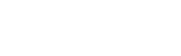 Cairo Institute for Human Rights Studies (CIHRS)